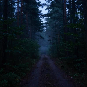 Twilight Forest Walk and Night Ecology